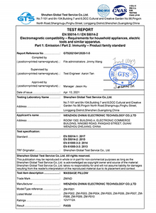  GTS20210412020-1-5 EMC 