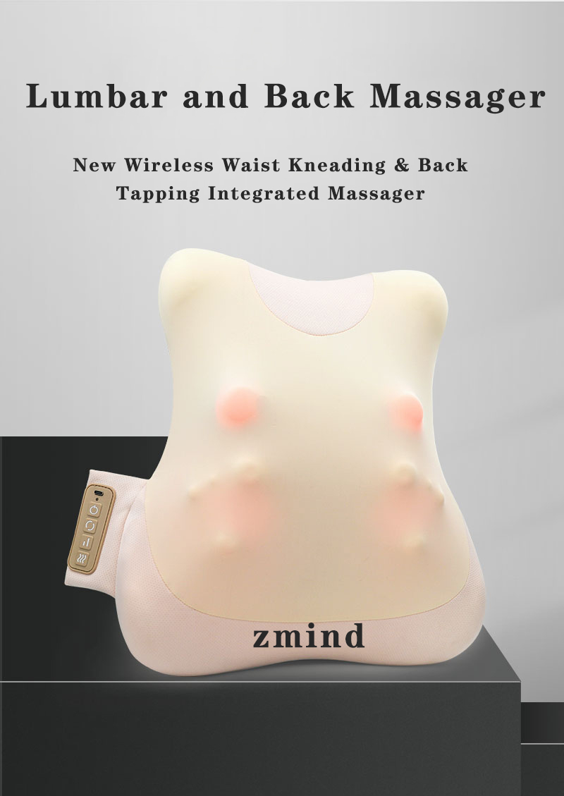 back massage cushion