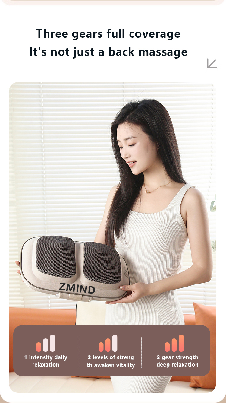 massager cushion