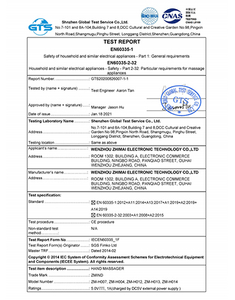  GTS20210123001-1-1 CE 