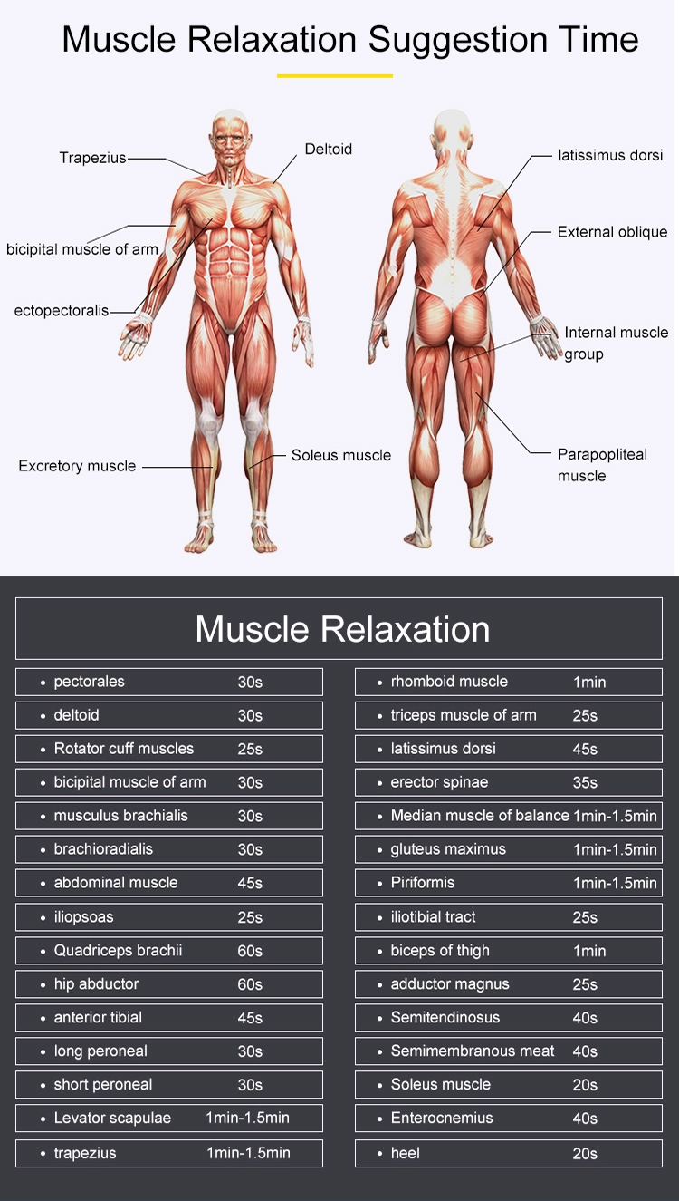 cordless massage gun